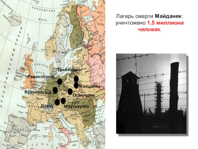 Дахау Бухенвальд Освенцим Майданек Треблинка Равенсбрюк Маутхаузен Лагерь смерти Майданек: уничтожено 1,5 миллиона человек.