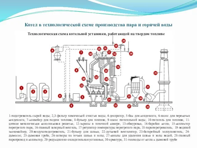 Котел в технологической схеме производства пара и горячей воды 1-подогреватель