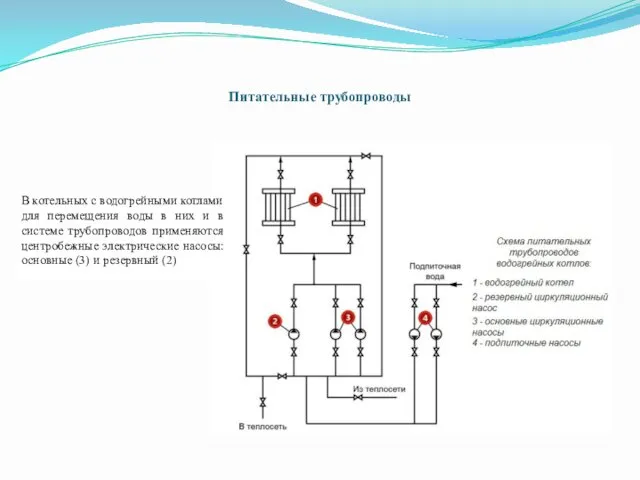 Питательные трубопроводы В котельных с водогрейными котлами для перемещения воды