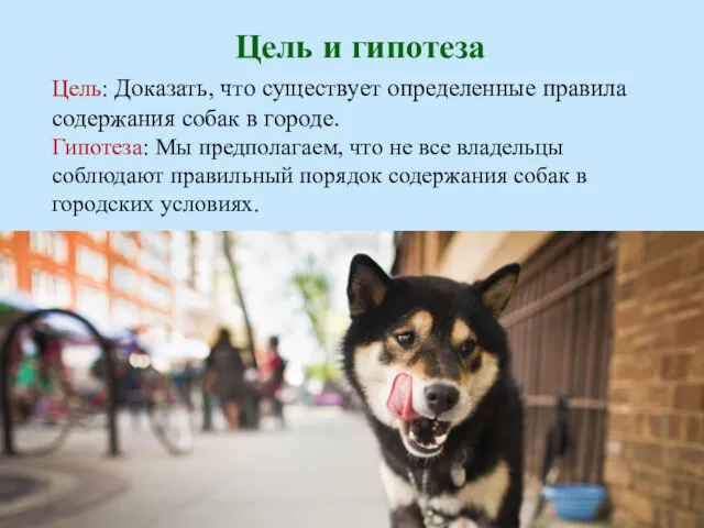 Цель: Доказать, что существует определенные правила содержания собак в городе.