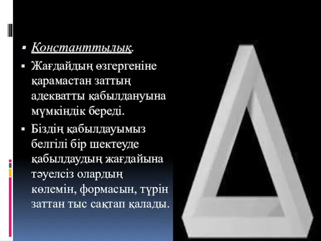 Константтылық. Жағдайдың өзгергеніне қарамастан заттың адекватты қабылдануына мүмкіндік береді. Біздің