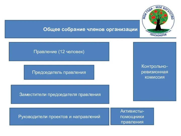 4.Организационная структура Общее собрание членов организации Председатель правления Заместители председателя