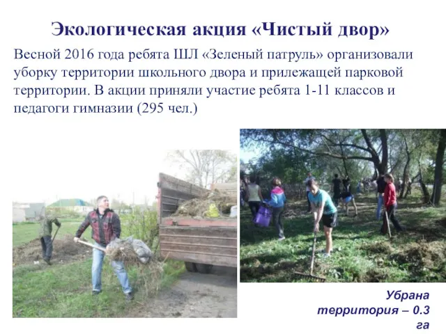 Экологическая акция «Чистый двор» Весной 2016 года ребята ШЛ «Зеленый
