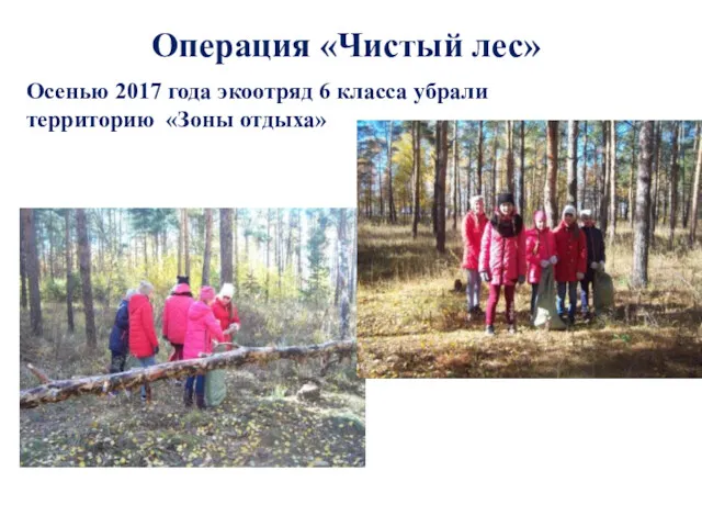 Операция «Чистый лес» Осенью 2017 года экоотряд 6 класса убрали территорию «Зоны отдыха»
