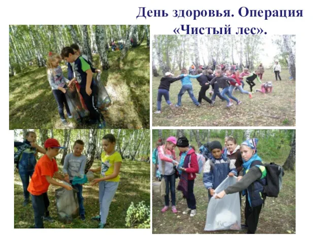 День здоровья. Операция «Чистый лес».