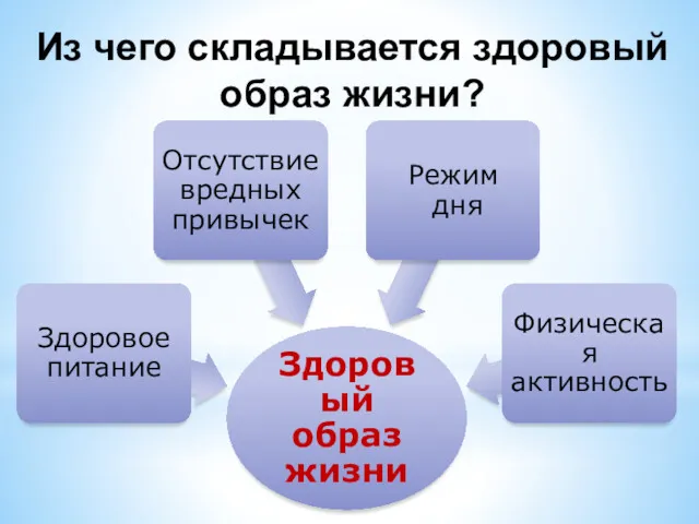 Из чего складывается здоровый образ жизни?