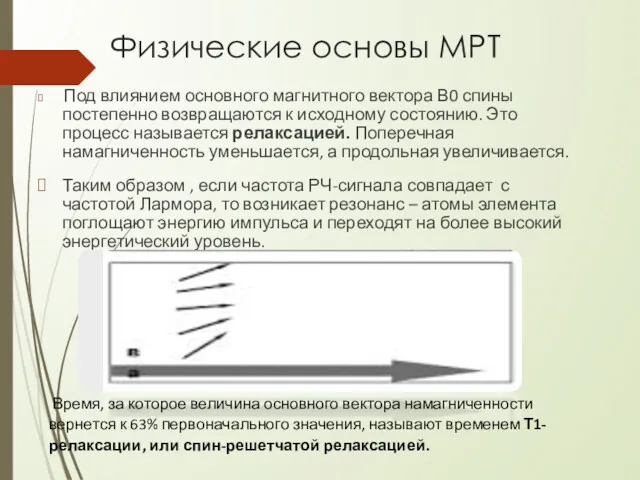 Физические основы МРТ Под влиянием основного магнитного вектора В0 спины