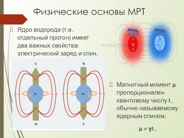Физические основы МРТ Ядро водорода (т.е. отдельный протон) имеет два