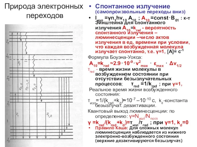 Природа электронных переходов Спонтанное излучение (самопроизвольные переходы вниз) Iизл =γn1hν10