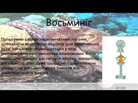 Восьминіг Пульсуючи своїми перетинчатими лапами, штовхаючи воду через воронку для