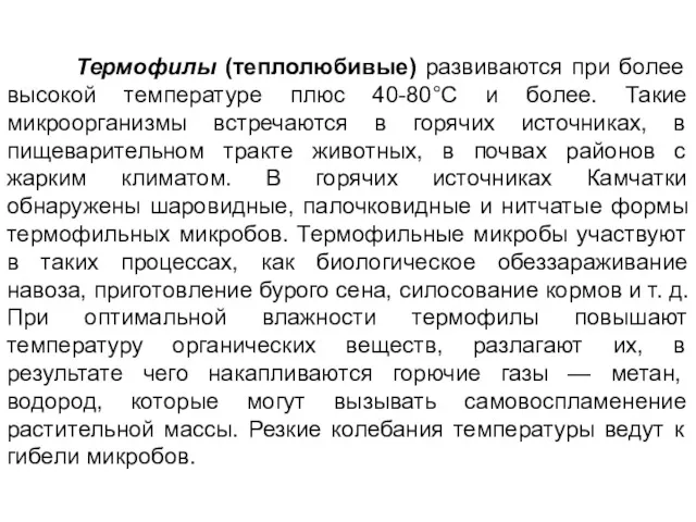 Термофилы (теплолюбивые) развиваются при более высокой температуре плюс 40-80°С и