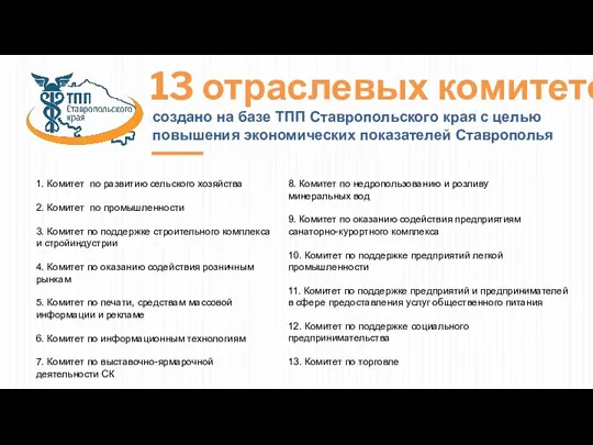 13 отраслевых комитетов создано на базе ТПП Ставропольского края с