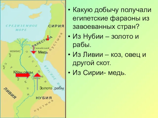 Какую добычу получали египетские фараоны из завоеванных стран? Из Нубии