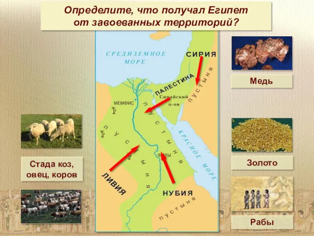 Определите, что получал Египет от завоеванных территорий? Золото Медь Стада коз, овец, коров Рабы