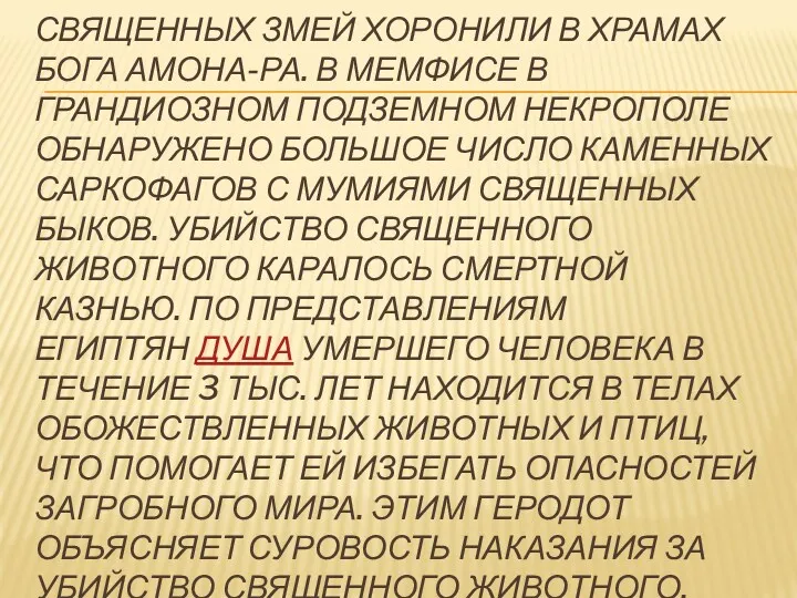 СВЯЩЕННЫХ ЗМЕЙ ХОРОНИЛИ В ХРАМАХ БОГА АМОНА-РА. В МЕМФИСЕ В