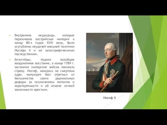 Внутренние неурядицы, которые переживала австрийская империя к концу 80-х годов