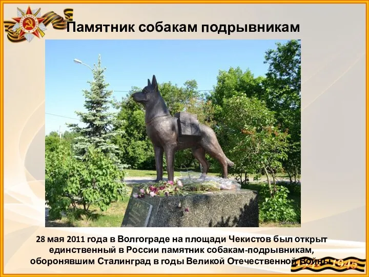 Памятник собакам подрывникам 28 мая 2011 года в Волгограде на