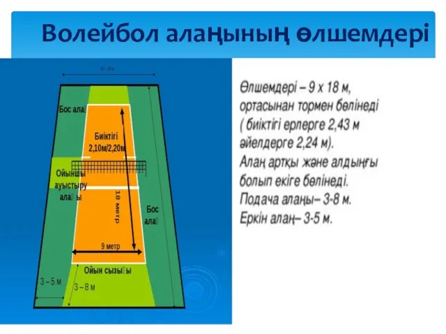 Волейбол алаңының өлшемдері