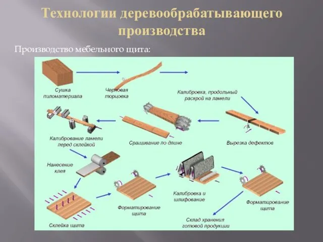 Технологии деревообрабатывающего производства Производство мебельного щита: