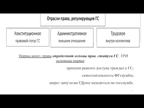 Нормы конст. права определяют основы прав. статуса ГС. ТРИ основные