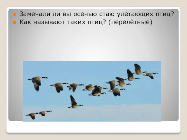 Замечали ли вы осенью стаю улетающих птиц? Как называют таких птиц? (перелётные)