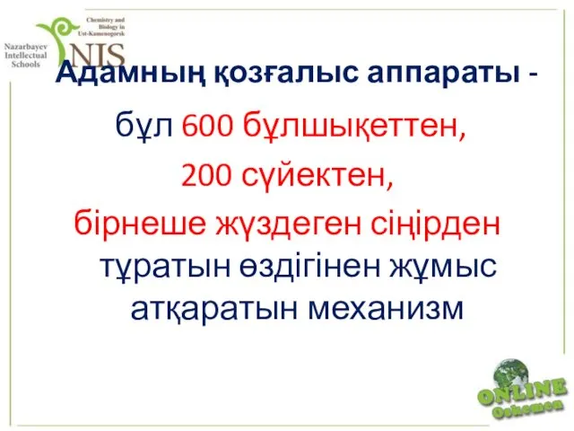 Адамның қозғалыс аппараты - бұл 600 бұлшықеттен, 200 сүйектен, бірнеше