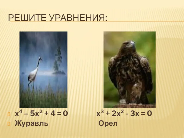 РЕШИТЕ УРАВНЕНИЯ: х4 – 5х² + 4 = 0 х³