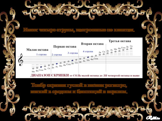 Имеет четыре струны, настроенные по квинтам. Тембр скрипки густой в низком регистре, мягкий