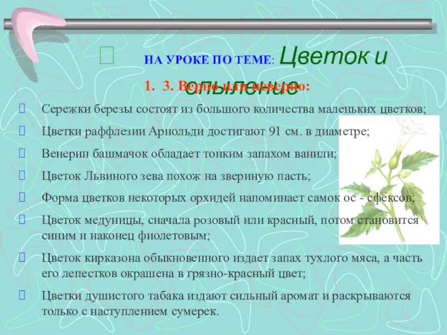  НА УРОКЕ ПО ТЕМЕ: Цветок и опыление 1. 3.