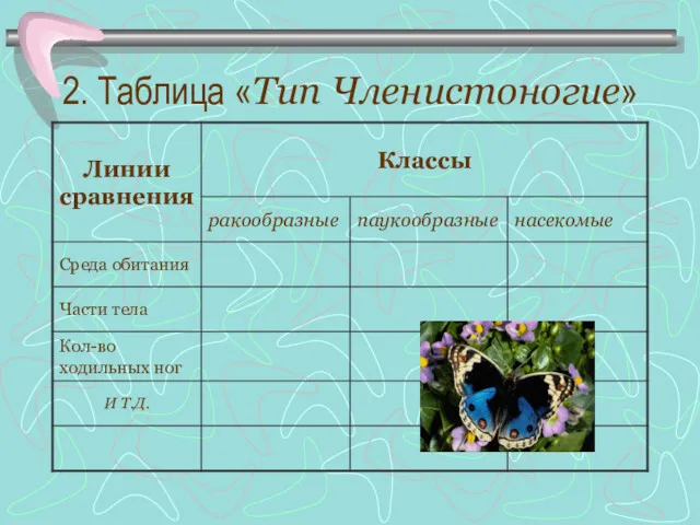 2. Таблица «Тип Членистоногие»