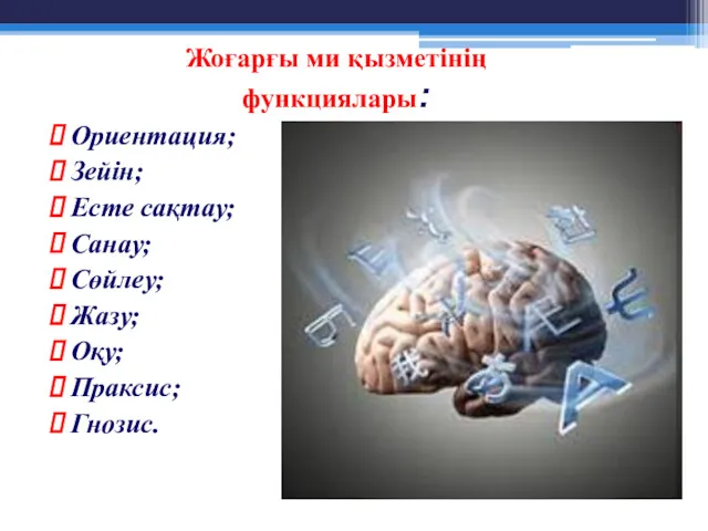 Жоғарғы ми қызметінің функциялары: Ориентация; Зейін; Есте сақтау; Санау; Сөйлеу; Жазу; Оқу; Праксис; Гнозис.