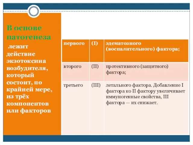 В основе патогенеза лежит действие экзотоксина возбудителя, который состоит, по