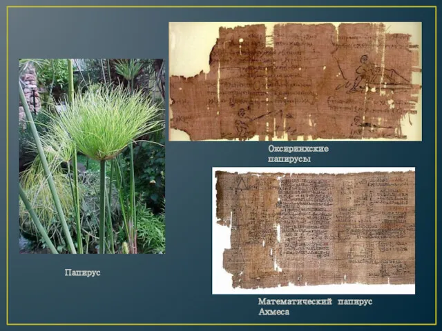 Математический папирус Ахмеса Оксиринхские папирусы Папирус