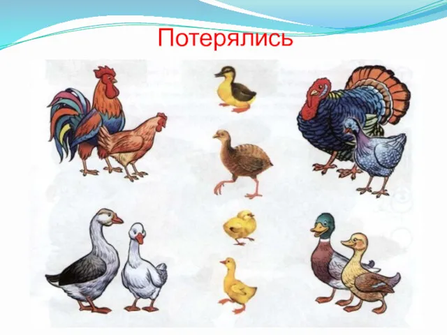 Потерялись