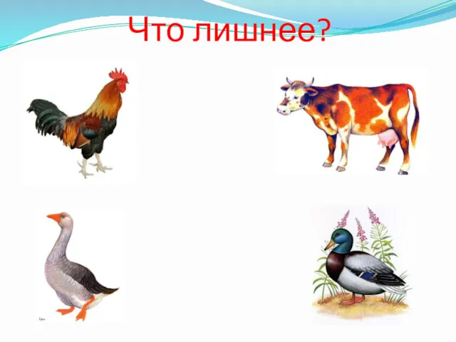 Что лишнее?