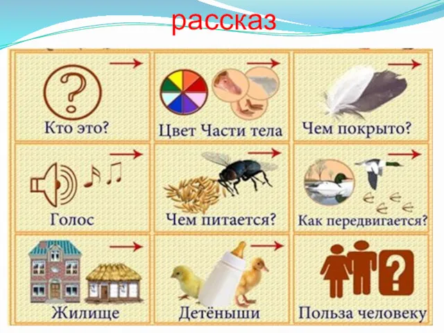 Составь описательный рассказ