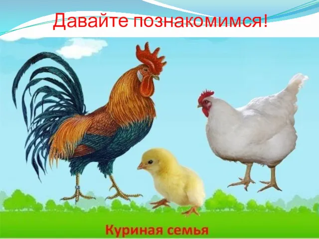 Давайте познакомимся!