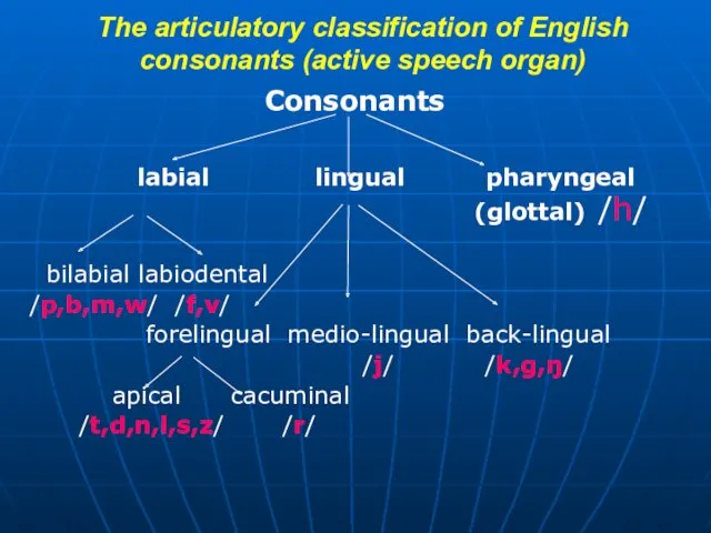 The articulatory classification of English consonants (active speech organ) Consonants labial lingual pharyngeal