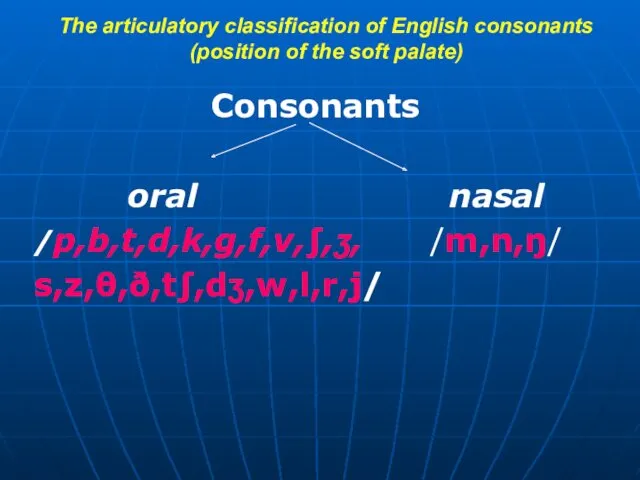 The articulatory classification of English consonants (position of the soft palate) Consonants oral