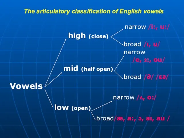 The articulatory classification of English vowels narrow /i:, u:/ high (close) broad /ı,