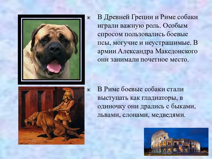 В Древней Греции и Риме собаки играли важную роль. Особым