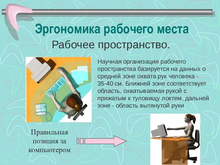 Эргономика рабочего места Научная организация рабочего пространства базируется на данных