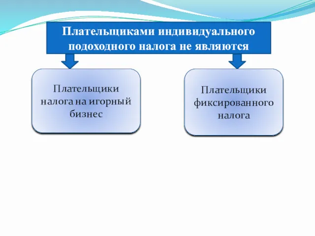 Плательщиками индивидуального подоходного налога не являются Плательщики налога на игорный бизнес Плательщики фиксированного налога