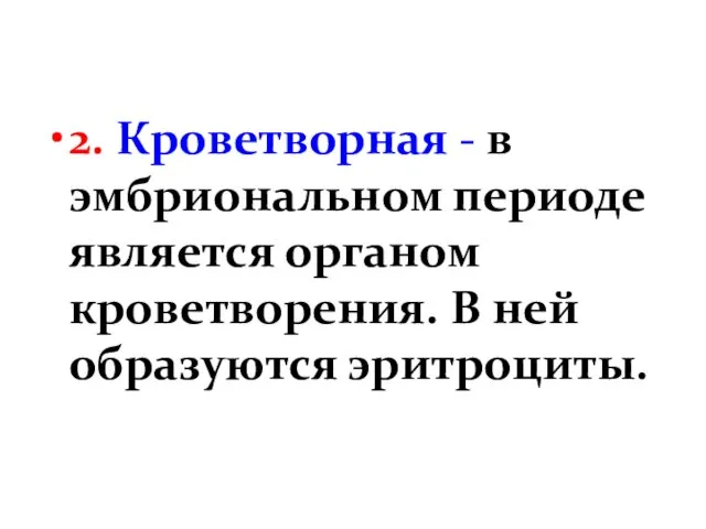 2. Кроветворная - в эмбриональном периоде является органом кроветворения. В ней образуются эритроциты.