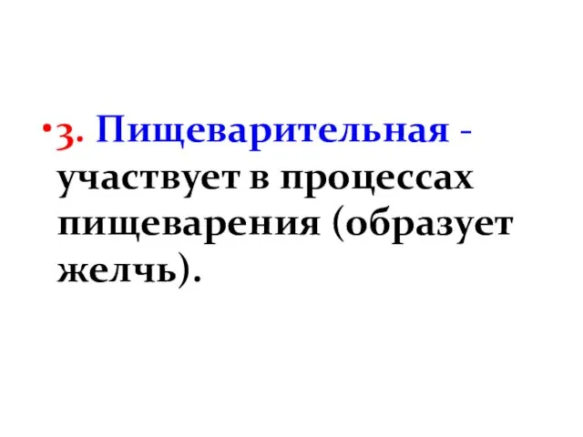 3. Пищеварительная - участвует в процессах пищеварения (образует желчь).