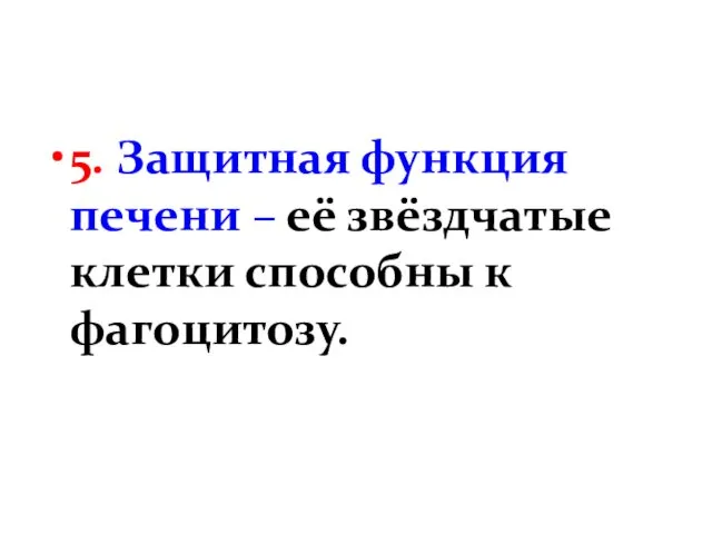 5. Защитная функция печени – её звёздчатые клетки способны к фагоцитозу.