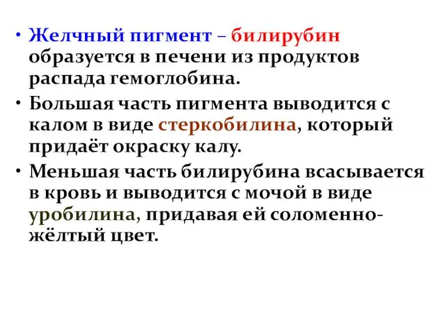 Желчный пигмент – билирубин образуется в печени из продуктов распада