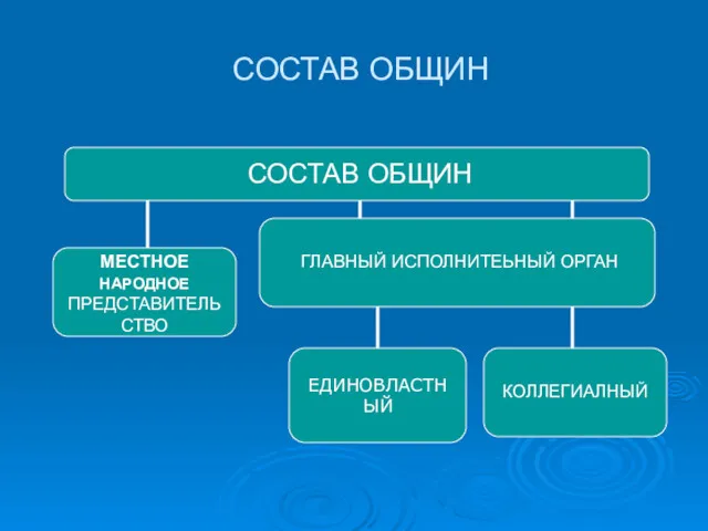 СОСТАВ ОБЩИН СОСТАВ ОБЩИН ЕДИНОВЛАСТНЫЙ МЕСТНОЕ НАРОДНОЕ ПРЕДСТАВИТЕЛЬСТВО ТОС КОЛЛЕГИАЛНЫЙ ГЛАВНЫЙ ИСПОЛНИТЕЬНЫЙ ОРГАН