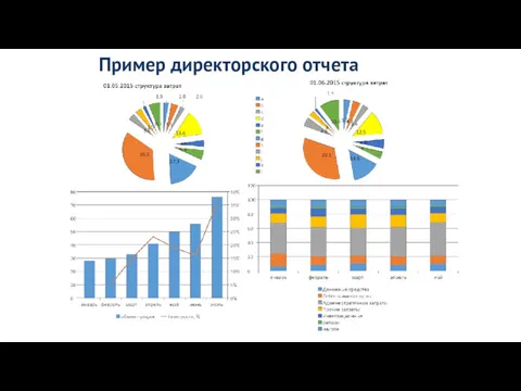 Пример директорского отчета