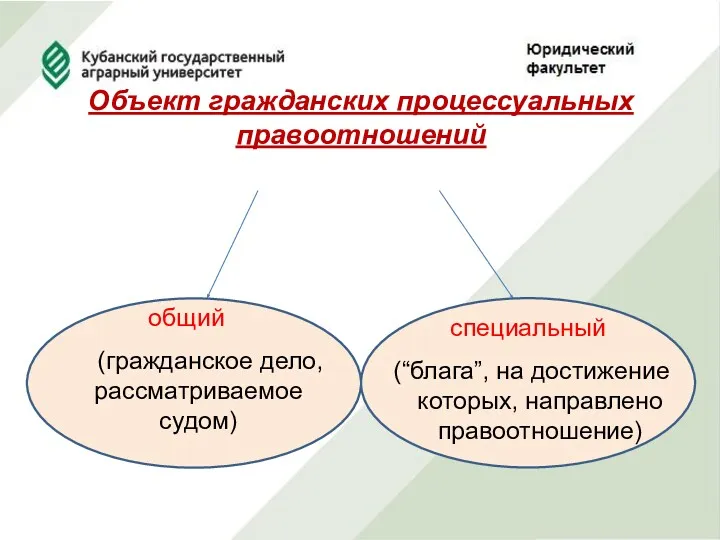 Объект гражданских процессуальных правоотношений общий (гражданское дело, рассматриваемое судом) специальный (“блага”, на достижение которых, направлено правоотношение)